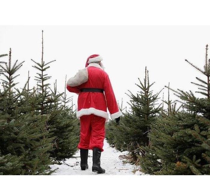 Santa, red suit, line of pine trees, snow