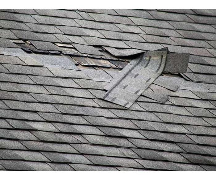 Roof, damaged shingles