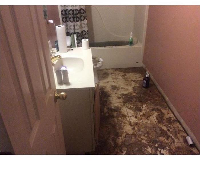 Sewage damage,bathroom, toilet, bath tub, contamination, tile flooring